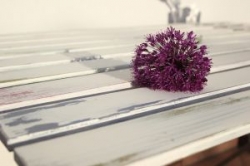 Shabby chic – romantyczne wnętrza z&nbsp;duszą 